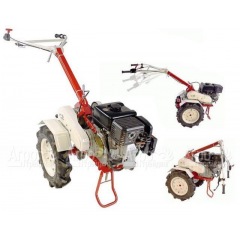 Мотоблок Фаворит МБ с двигателем Robin-Subaru EX21D 7,0 л.с. (Фрезы в комплекте) в Воронеже