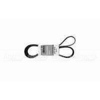 Pubert 0306030032 Ремень привода для Promo в Воронеже