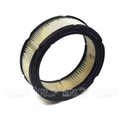 Воздушный фильтр Briggs&#38;Stratton 00002 в Воронеже