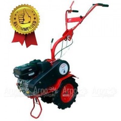 Мотоблок Агат БС-6.5 с двигателем Briggs&#38;Stratton RS 6.5 л.с. (фрезы в комплекте) в Воронеже