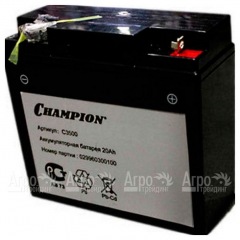 Аккумулятор Champion C3500 в Воронеже
