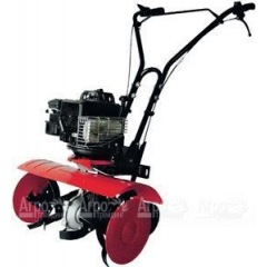 SunGarden T250 F BS 5.0 в Воронеже