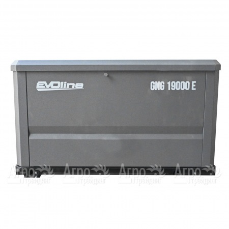 Газовый генератор EVOline GNG 19000 E 16 кВт в Воронеже