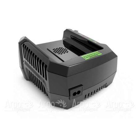 Зарядное устройство GreenWorks GC82C  в Воронеже