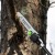 Высоторез аккумуляторный GreenWorks PS102T (без аккумулятора и зарядного устройства) в Воронеже