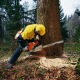 Бензопила Stihl MS 880-47" в Воронеже