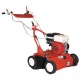 Аэратор бензиновый Garden France SC 46-H в Воронеже