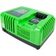 Быстрое зарядное устройство Greenworks G40UC5 в Воронеже